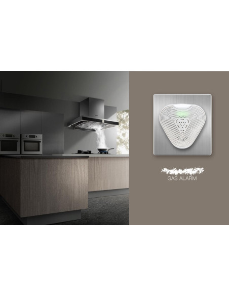 AO-H1 Plug in Gas Alarm