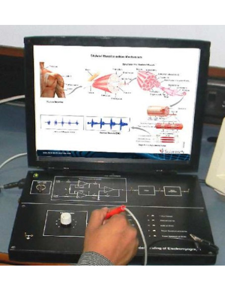 Scientech2354A TechBook para la Comprensión de Electromiografía