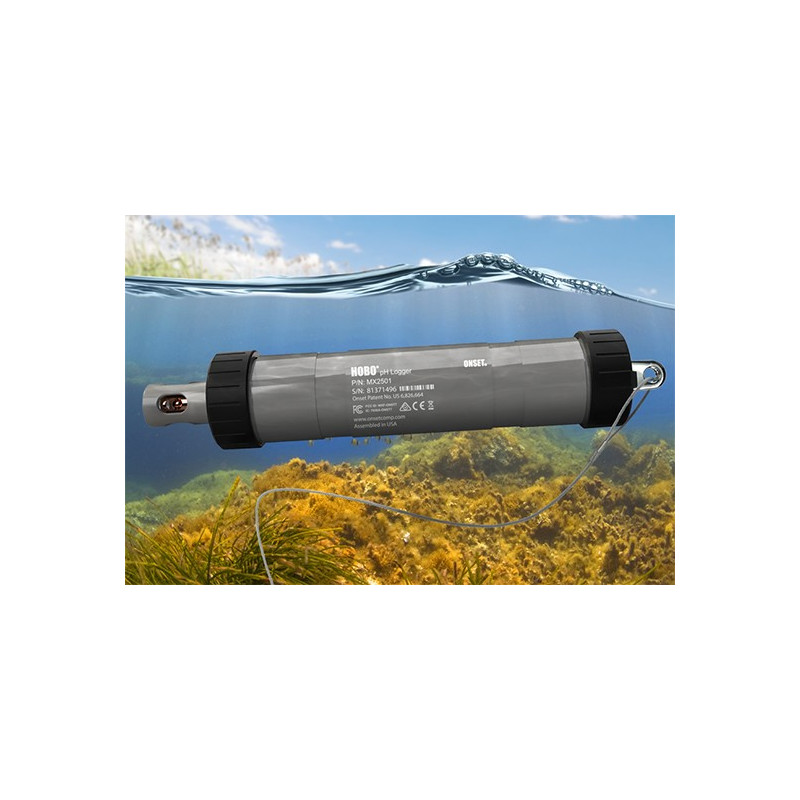 MX2501 Registrador de Bajo Coste para pH y Temperatura