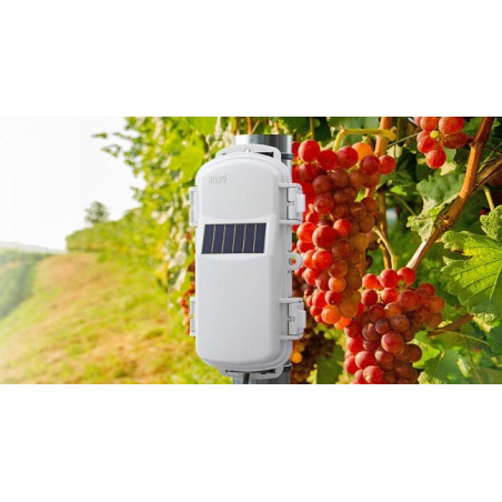 HOBONet Sistema de Monitoramento de Campo