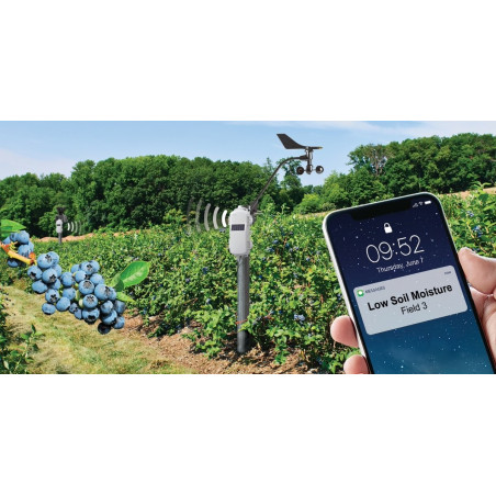 HOBONet Field Monitoring System