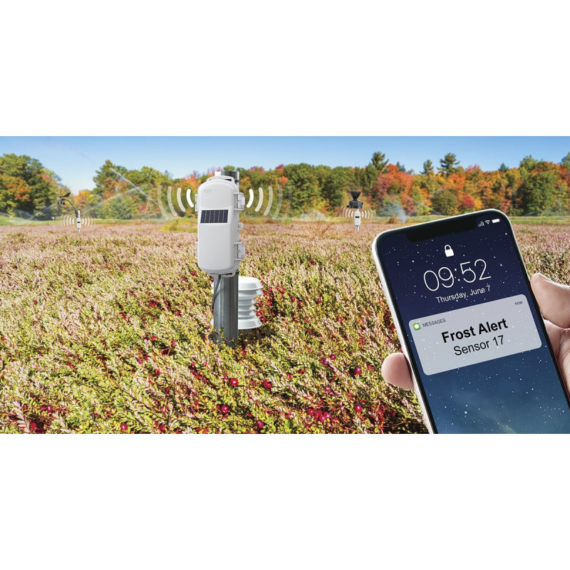 HOBONet Field Monitoring System