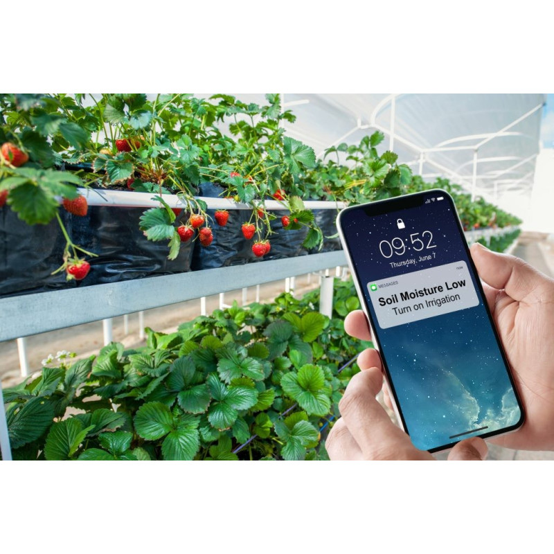 HOBONet Sistema de Monitoramento de Campo