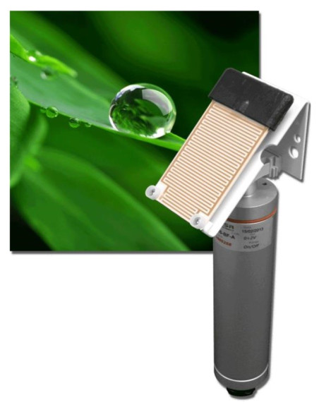 BF Leaf wetness sensor and rain presence