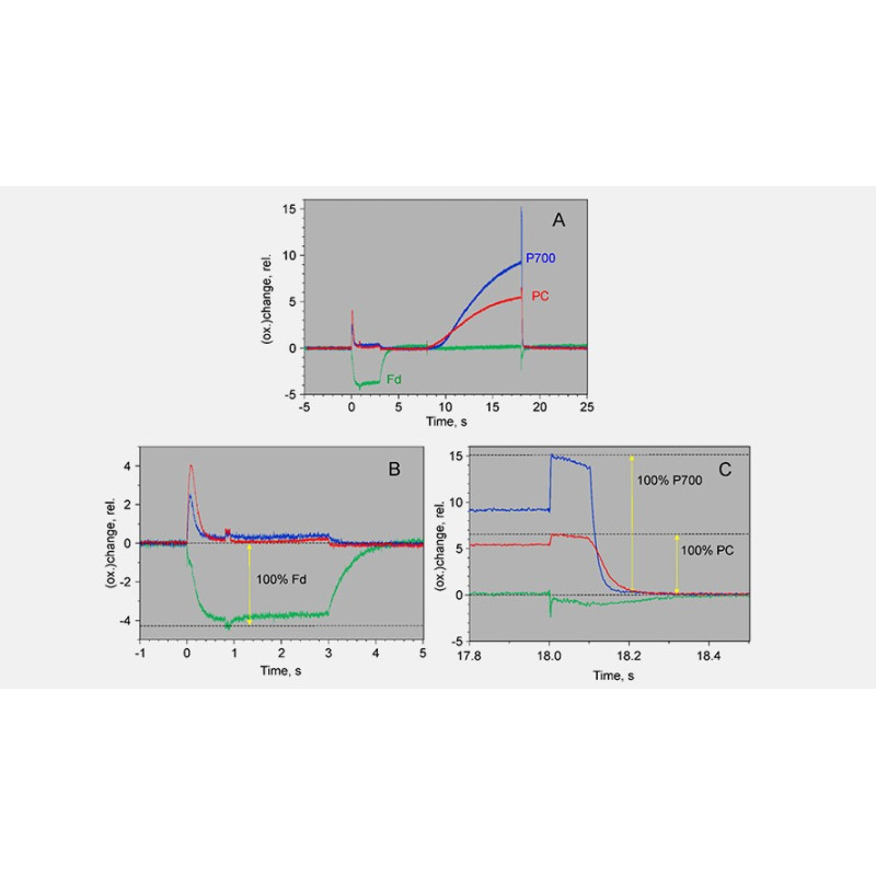 DUAL-KLAS-NIR P700, Plastocyanin, Ferredoxin & Chlorophyll Fluorescence Measuring System