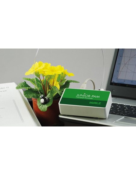 Compact Fluorometer WALZ