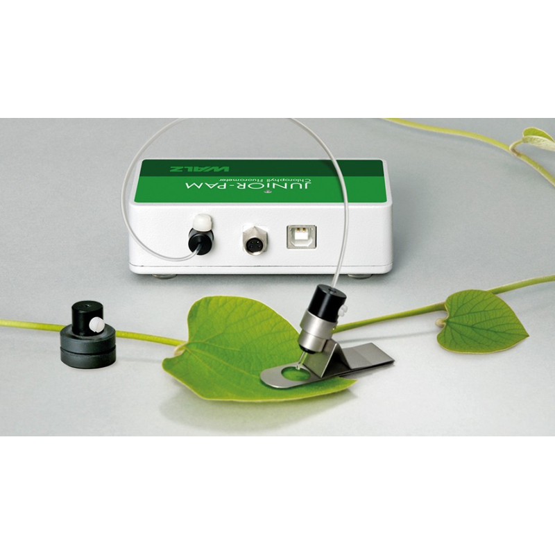 Compact Fluorometer WALZ