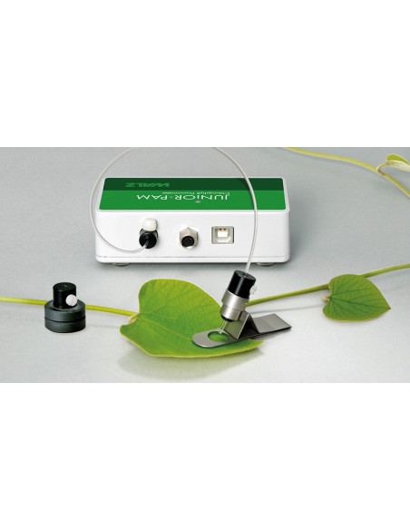 Compact Fluorometer WALZ