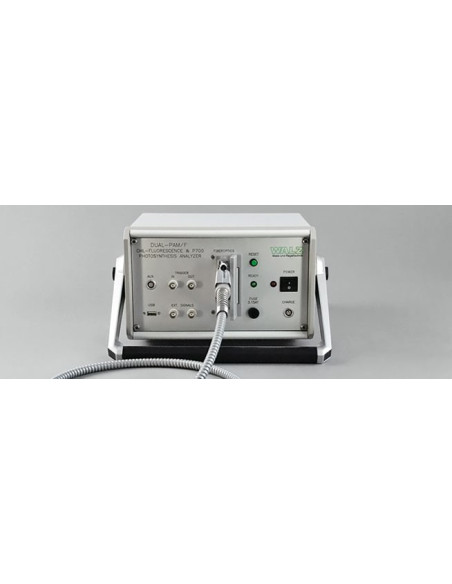 Sistema de Fluorescencia de Clorofila & P700
