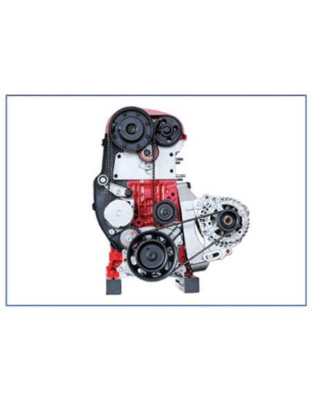 IVDB01 Modelo Seccionado do Motor de Gasolina DOHC FSI