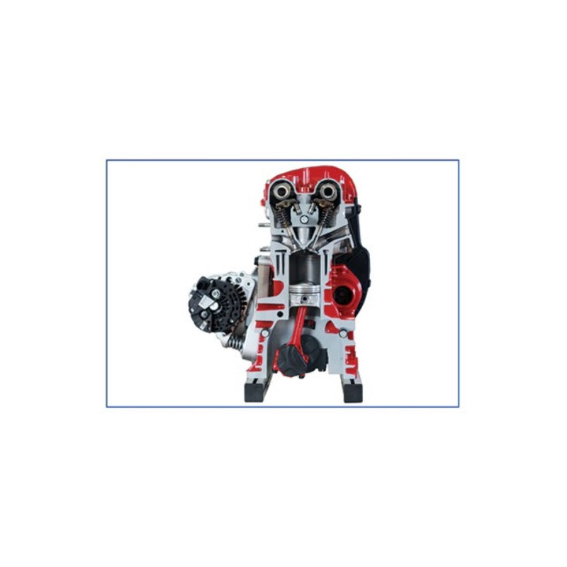 IVDB01 Modelo Seccionado de Motor de Gasolina DOHC FSI
