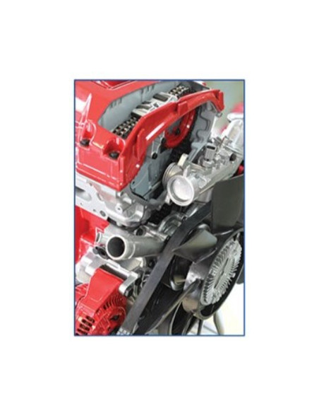 IVDB02 Petrol Engine Cutaway Model DOHC MPI