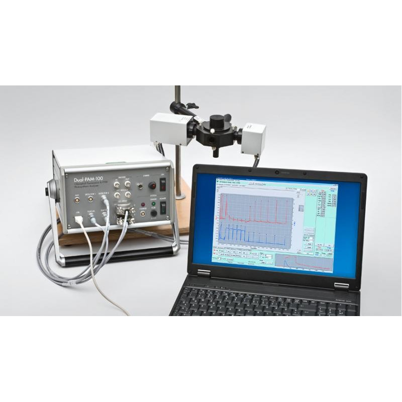 Sistema de Fluorescencia de Clorofila & P700