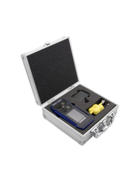 AO-BH-4s Detector Multi-Gas