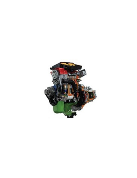 AE35220 C Fiat Petrol Engine with Carburettor + Gearbox (on Stand with Wheels) – Electrical