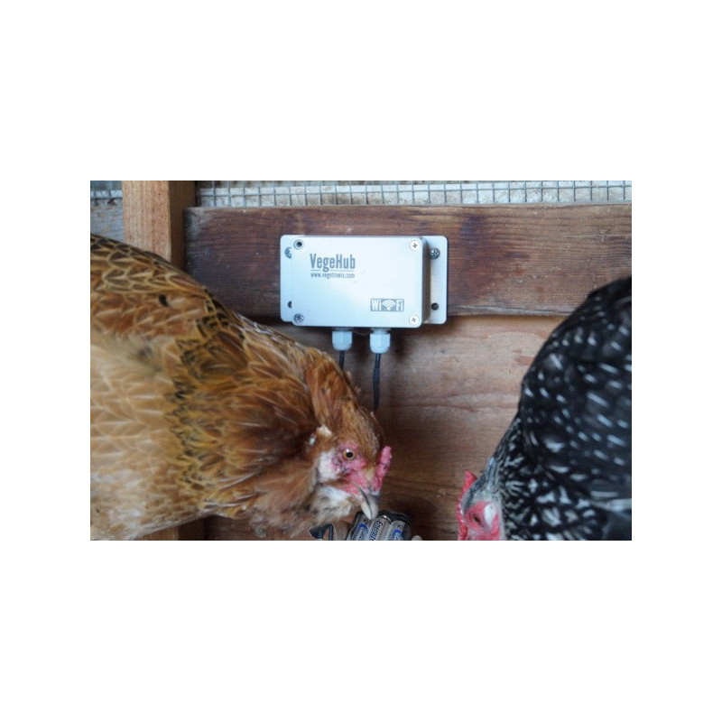 Receba alertas de texto quando suas galinhas precisarem de água.