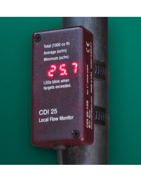 CDI-25 LOCAL FLOW MONITOR FOR COMPRESSED AIR