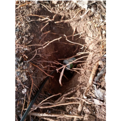 Sensor de Piso T / H / CE 2