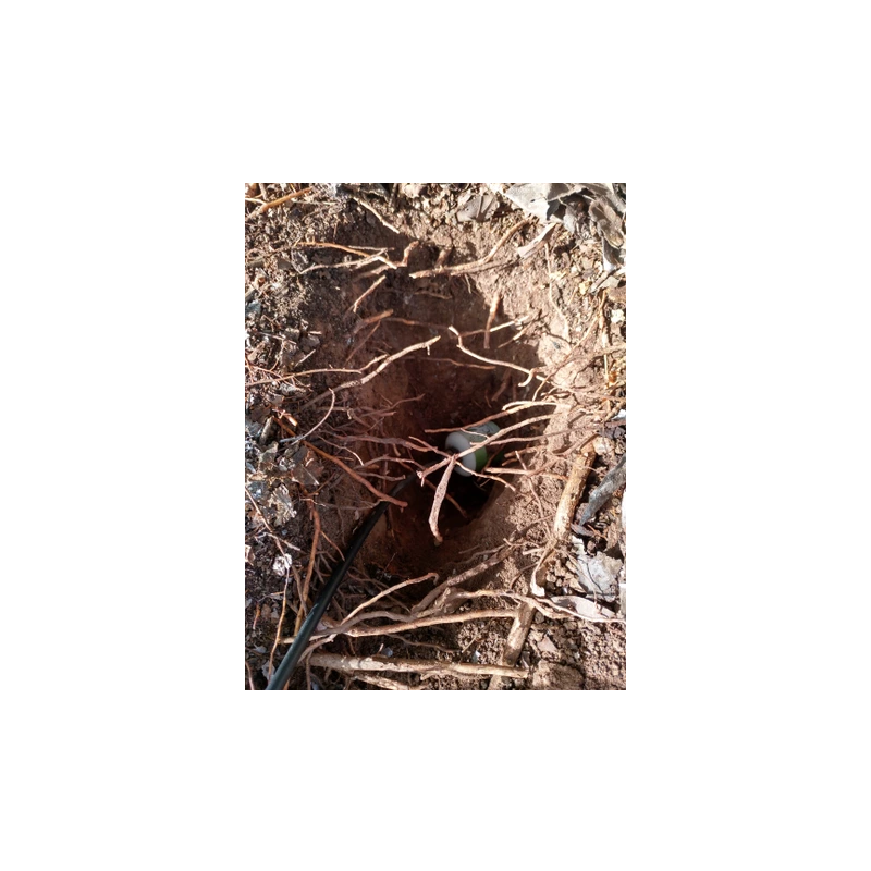 Sensor de Piso T / H / CE