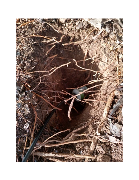 Floor Sensor T / H / CE