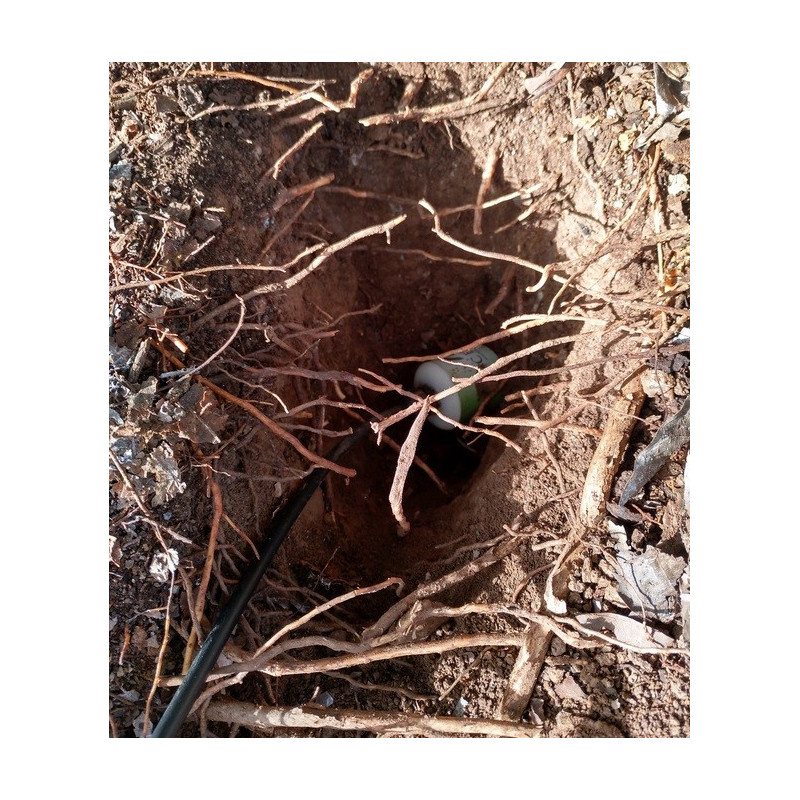 CERES Temp. Humidity & CE Soil Sensor