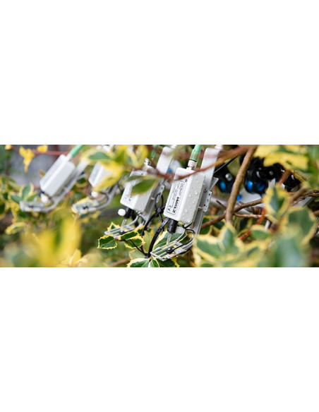 Cuatro MICRO-HEADs que realizan análisis de pulso de saturación con hojas abigarradas.