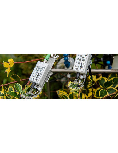 MICRO-HEADs que realizan análisis de pulso de saturación con hojas abigarradas.