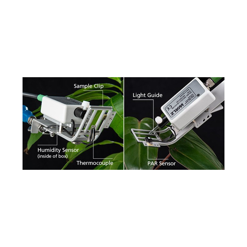 CABEZA MICRO / 3B. Ver en el lado inferior del clip de hoja (izquierda) y en el clip de hoja (derecha).