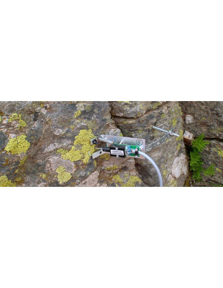 Fotosíntesis de liquen medida a una altitud de 2.200 metros en la cadena montañosa Sierra de Guadarrama, cerca de Madrid