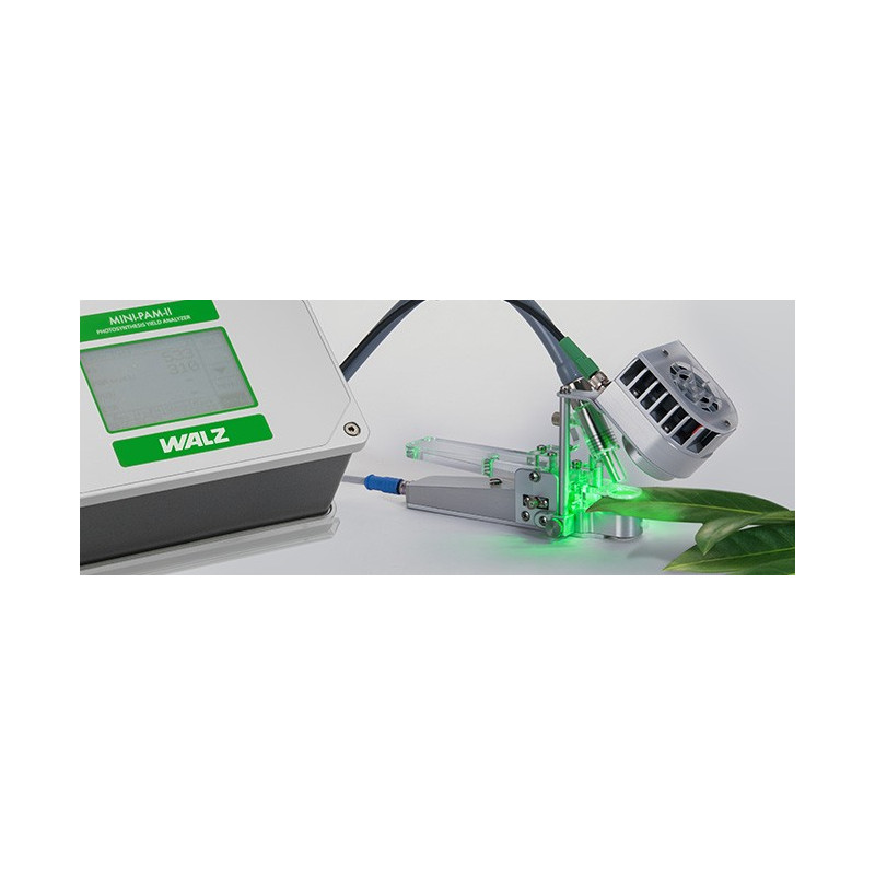 External LED Light Source 2054-L providing red, green, blue, and white light.