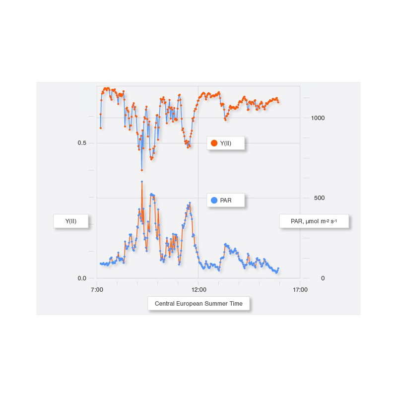  Effective quantum yield of photosystem II photochemistry (Y(II)) of an attached holly leaf (Ilex aquifolium)