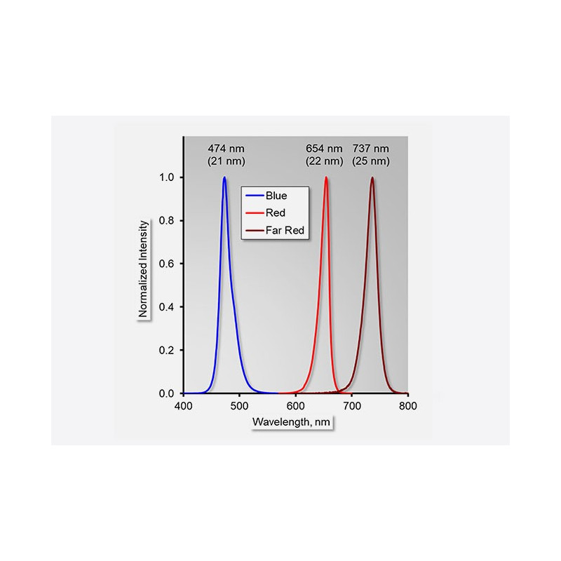 The MINI-PAM-II in the field