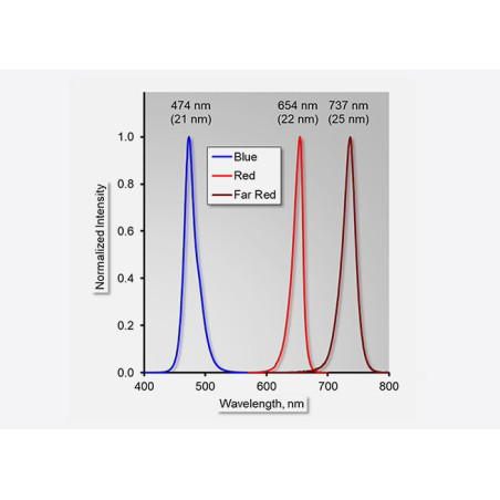 The MINI-PAM-II in the field