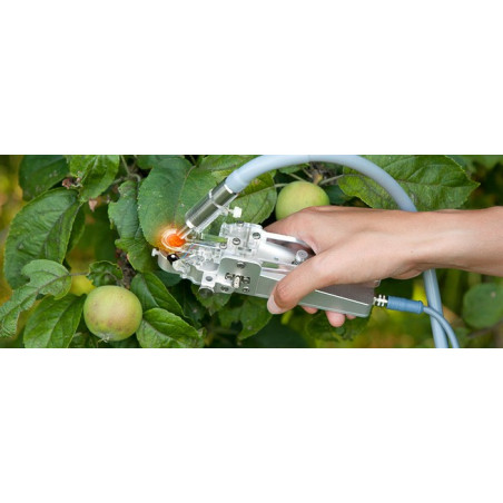 Leaf clip 2035-B and red light from the MINI-PAM-II/R (see BLUE & RED Version)