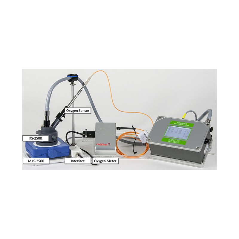 Setup for simultaneous chlorophyll and oxygen measurements.