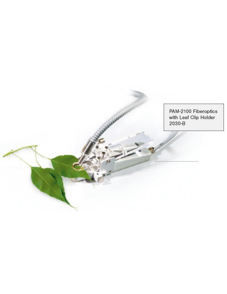 PAM-2100 Fiberoptics with Leaf Clip Holder 2030-B