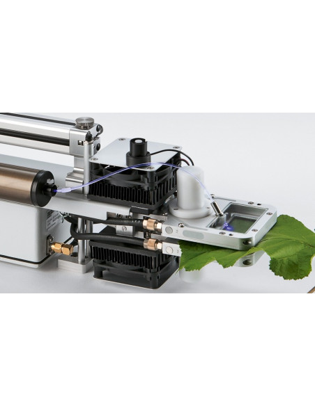 Fiberoptics PAM-Fluorometer 3050-F connected to the Standard Measuring Head 3010-S