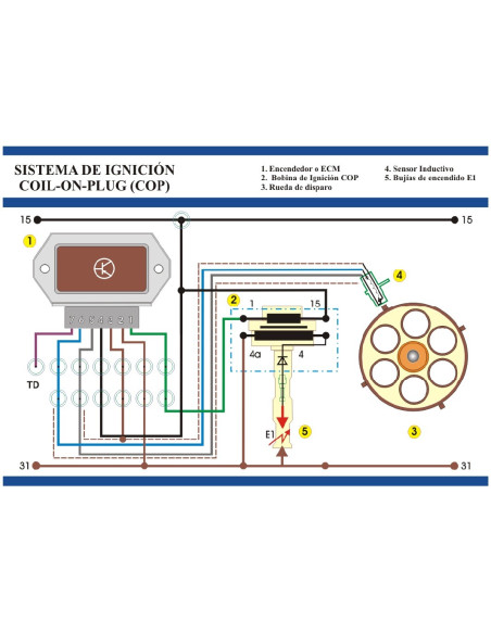 MSUS1 Plataforma de Treinamento do Sistema de Ignição