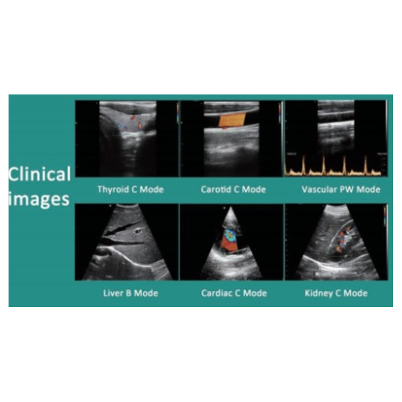 C10RL Imágenes Clínicas