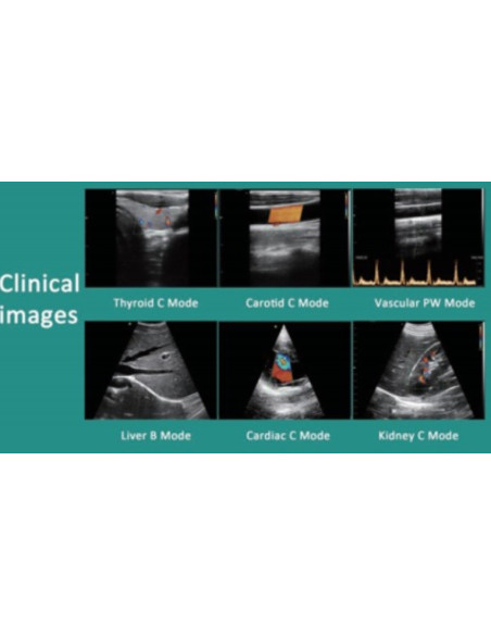 C10RL Imagens Clínicas