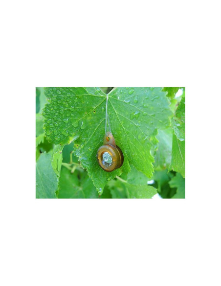 MF1922L Registrador de temperatura iButton (-40°C/+85°C, 8K), resistente al agua según IPX8