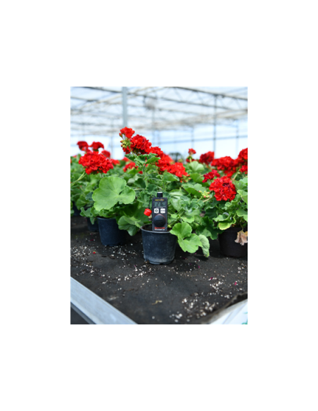 3415A Quantum PAR Light Meter