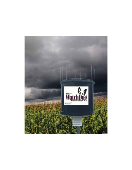3200R1 WatchDog Wireless Rain+ Temp Station
