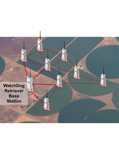 SpecConnect - 1 year Basic or Pro Subscription - Cellular