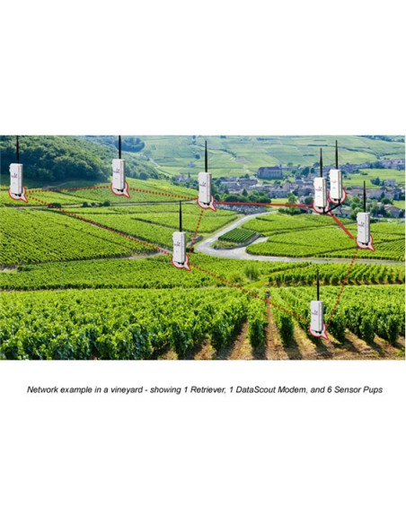 SpecConnect - 1 year Basic or Pro Subscription - Cellular