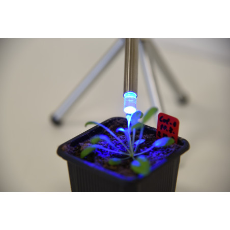 FluorPen com sonda de medição