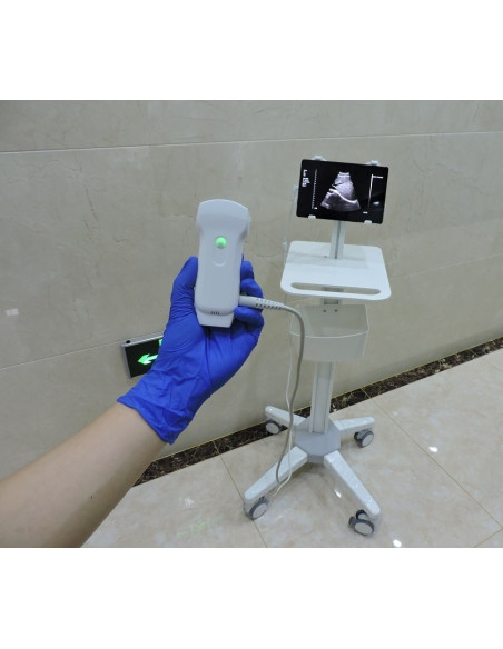 C10RL  Dual head wireless & USB probe