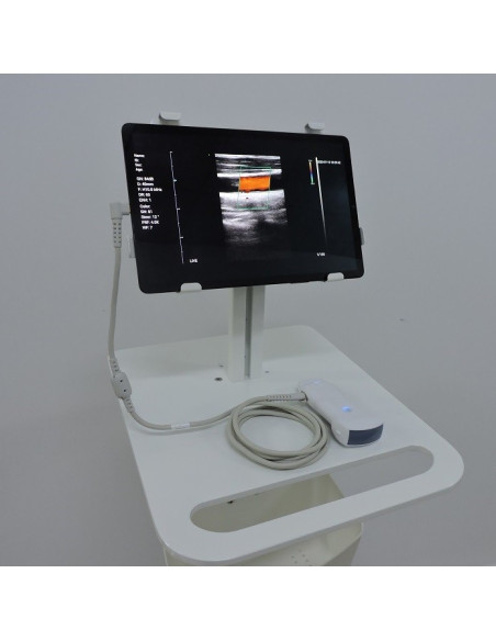 C10RL  Dual head wireless & USB probe