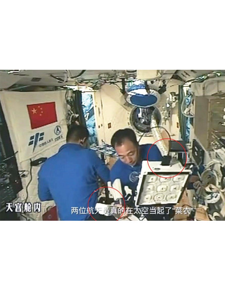 Astronautas chineses usam o sensor WET para ajudar a cultivar alface no espaço