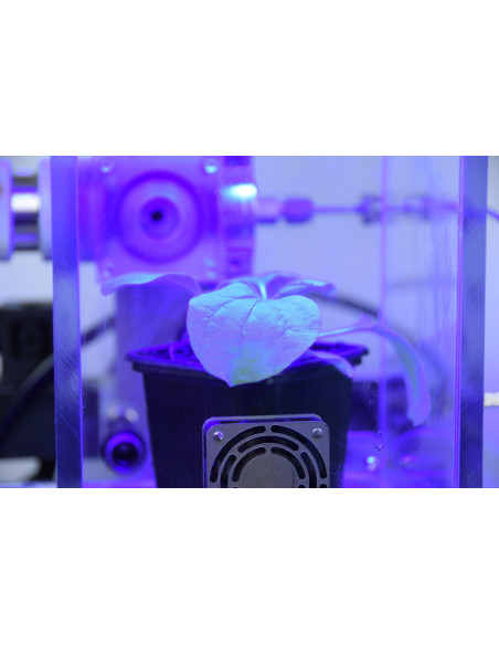 MS GAS Mass Spectrometer